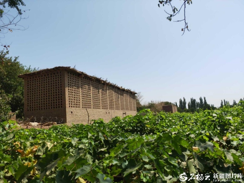 地方学习平台