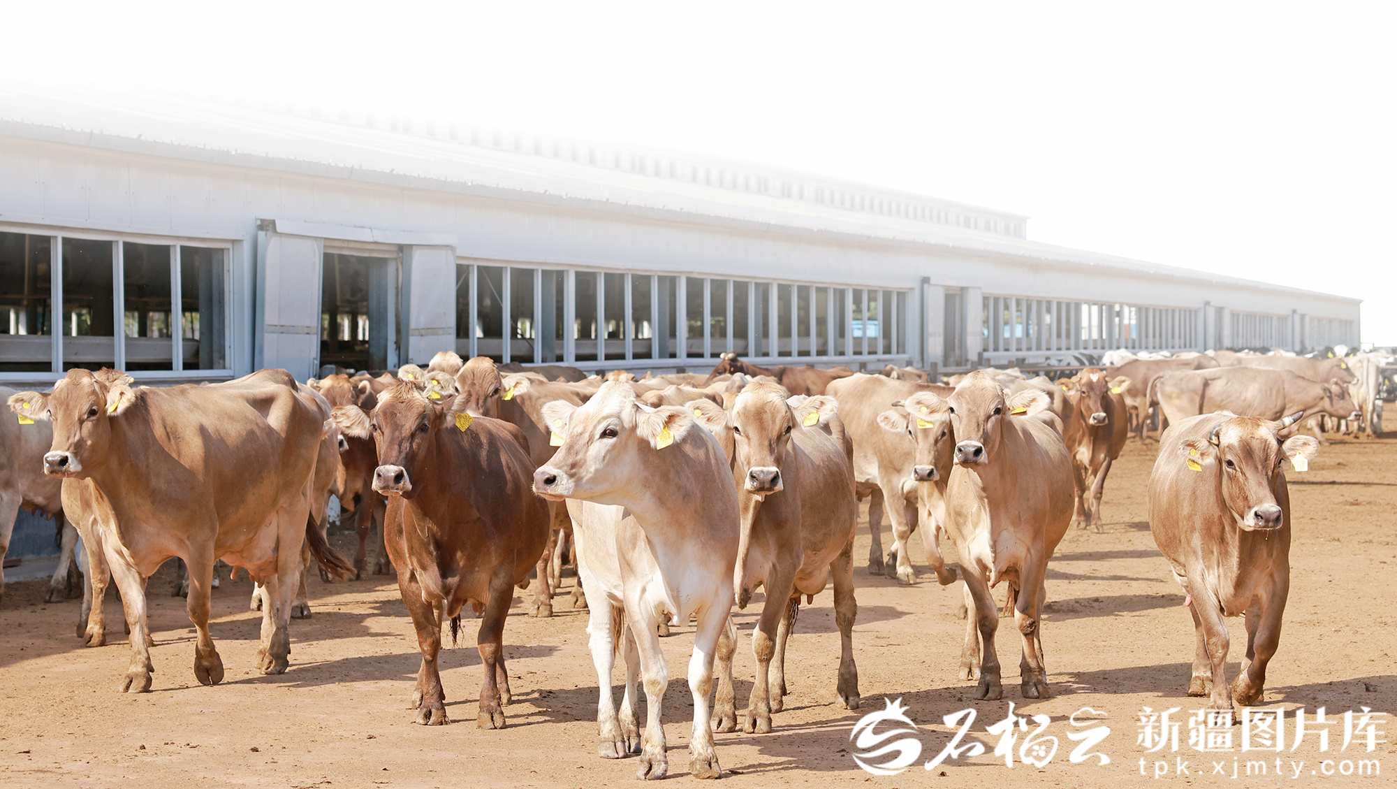 地方学习平台